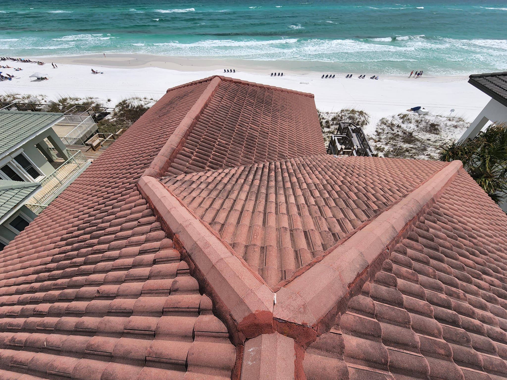 Roof Soft Washing - Before